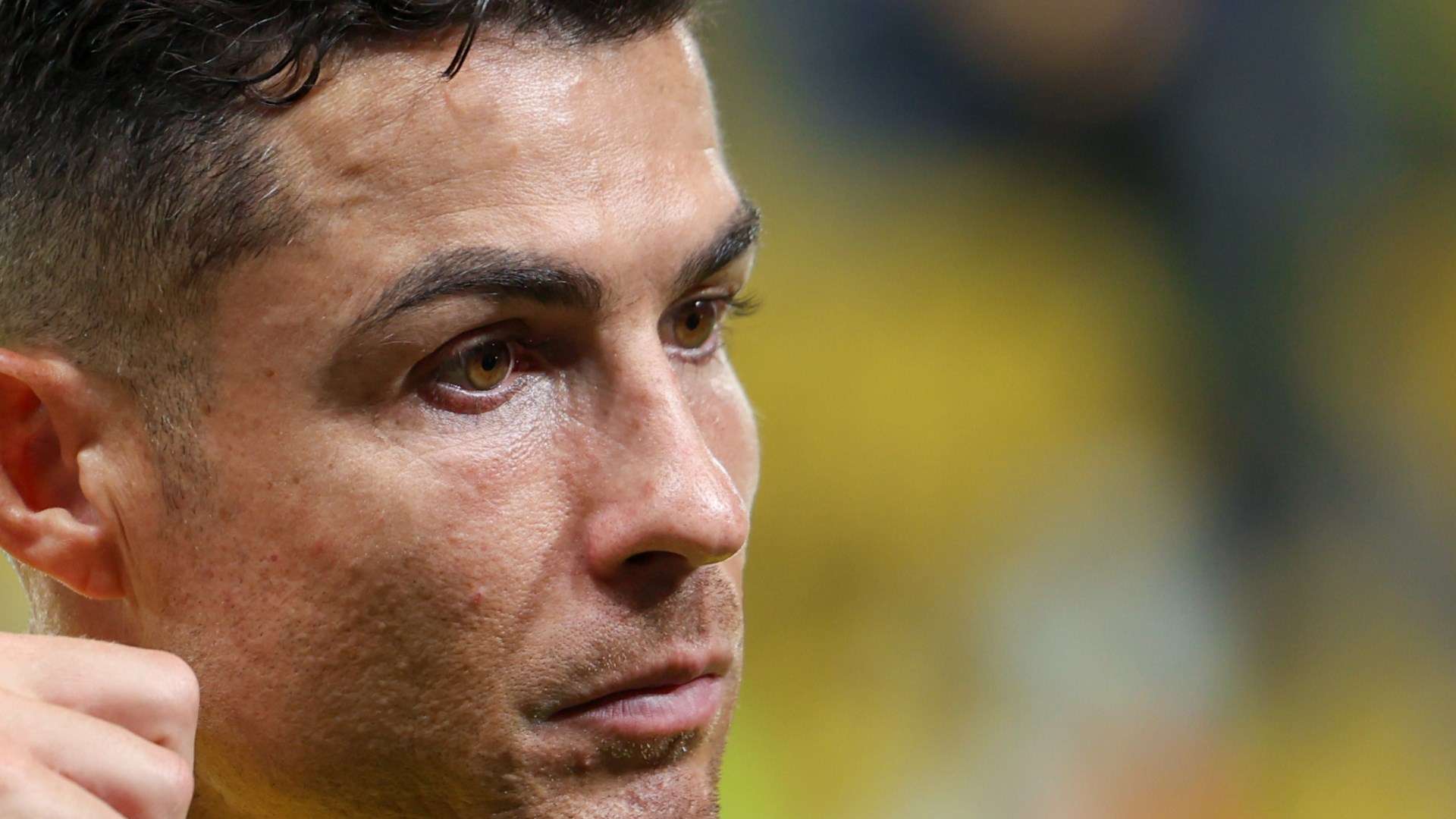 结果可以得 结果可以得