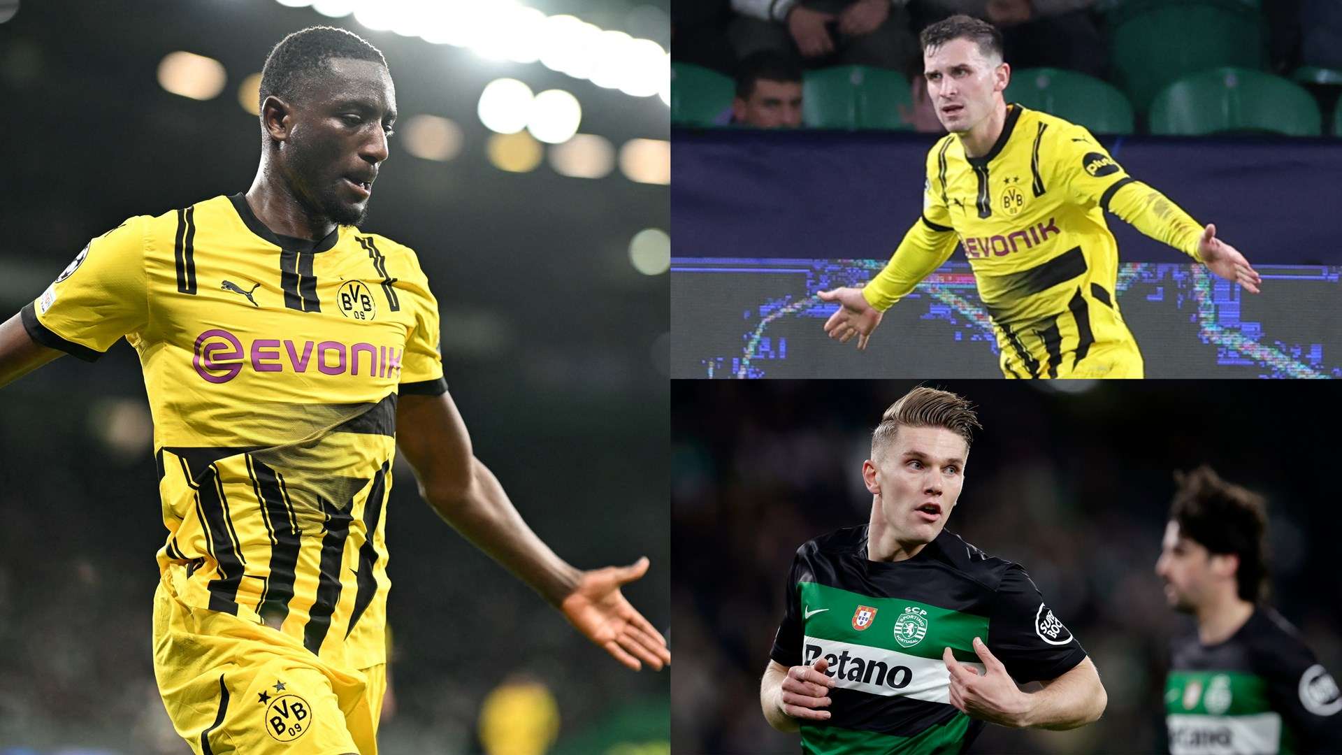 擅长挖掘年 擅长挖掘年